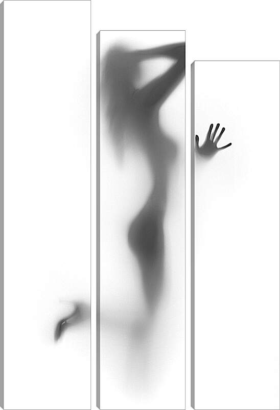 Модульная картина - Силуэт девушки за стеклом 1