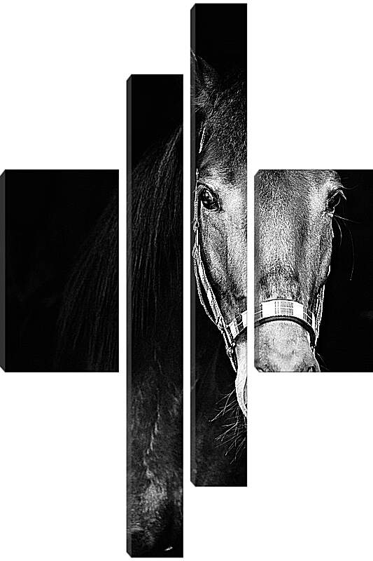 Модульная картина - Чёрно-белая лошадь