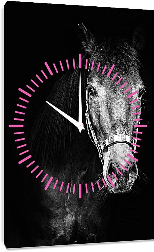 Часы картина - Чёрно-белая лошадь