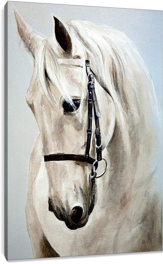 Постер и плакат - Морда белой лошади