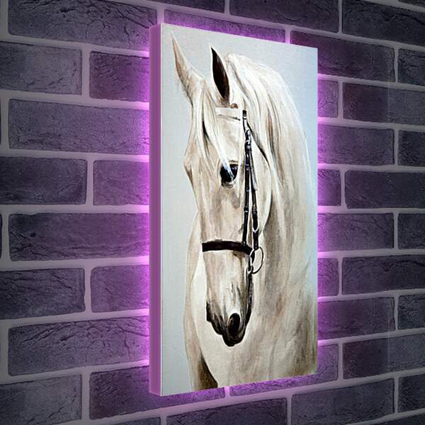 Лайтбокс световая панель - Морда белой лошади