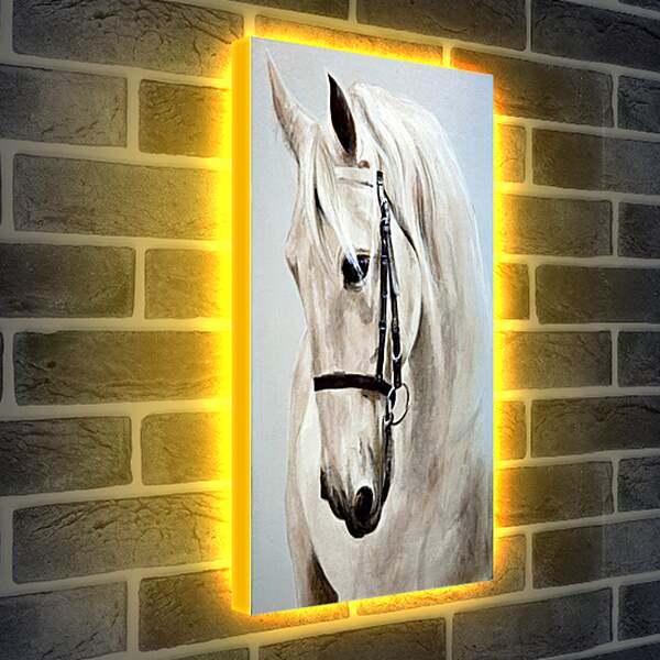 Лайтбокс световая панель - Морда белой лошади