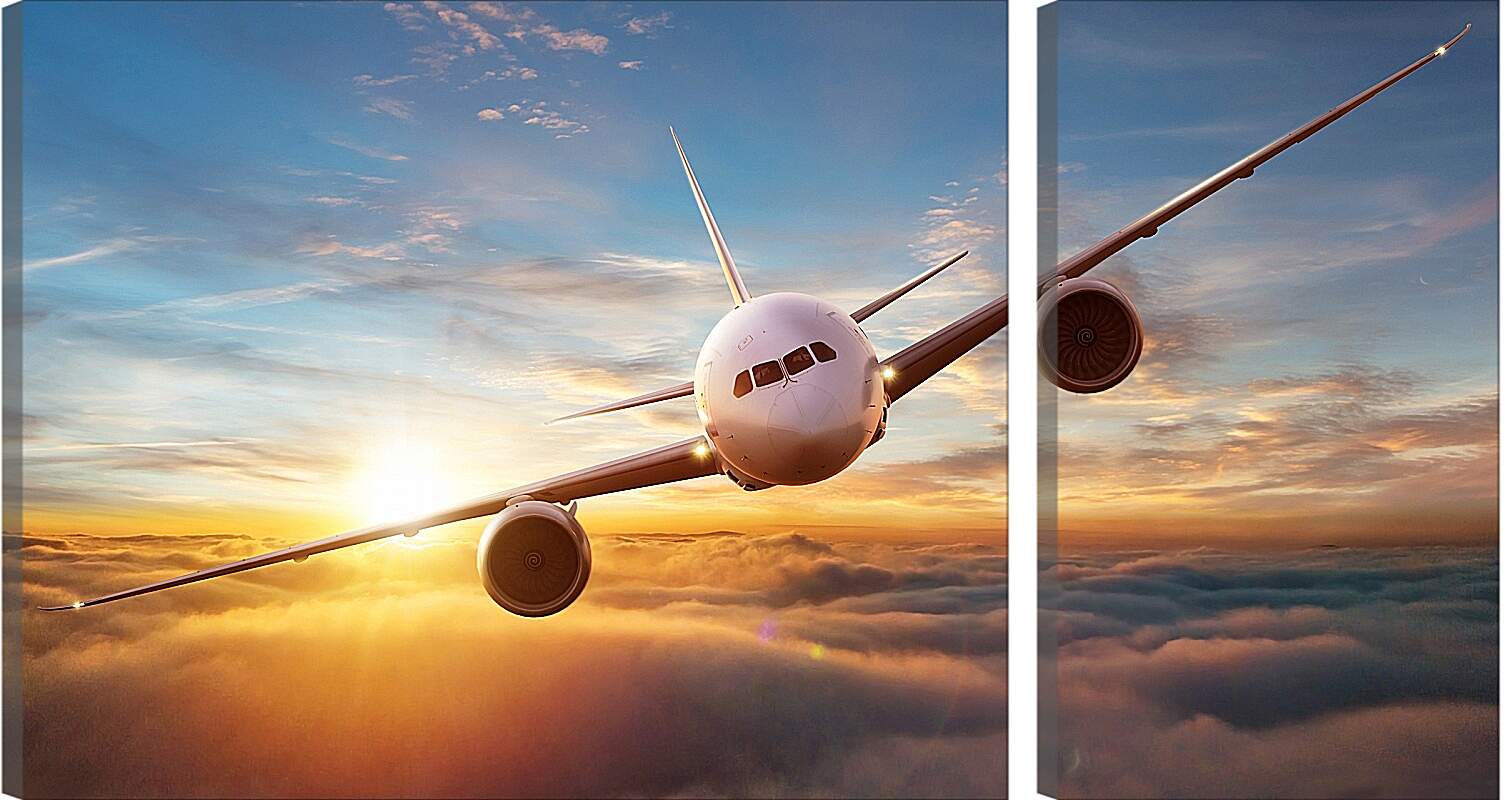 Модульная картина - Летящий самолет