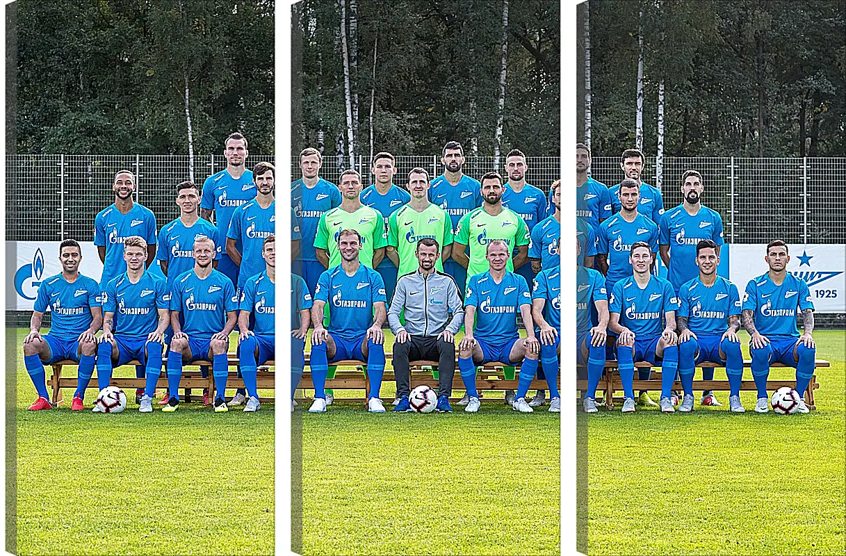 Модульная картина - ФК Зенит Санкт-Петербург. FC Zenit St. Petersburg