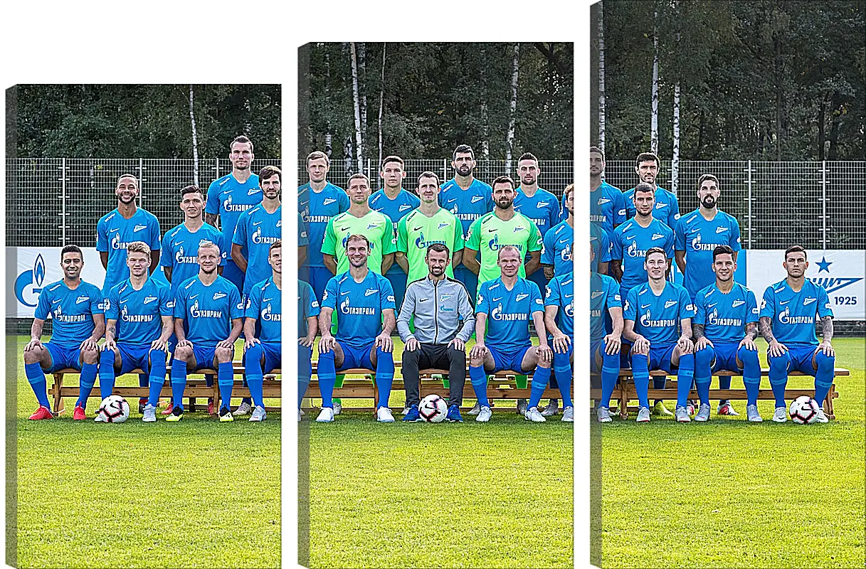 Модульная картина - ФК Зенит Санкт-Петербург. FC Zenit St. Petersburg