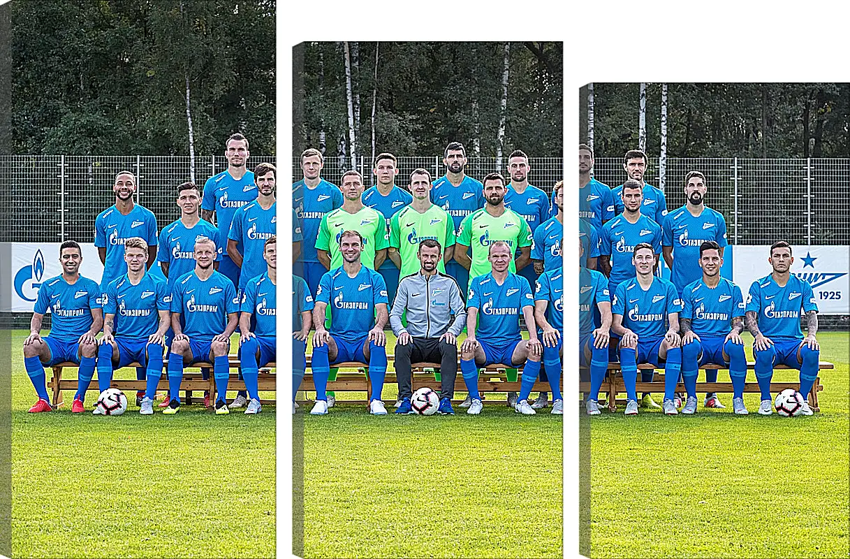 Модульная картина - ФК Зенит Санкт-Петербург. FC Zenit St. Petersburg