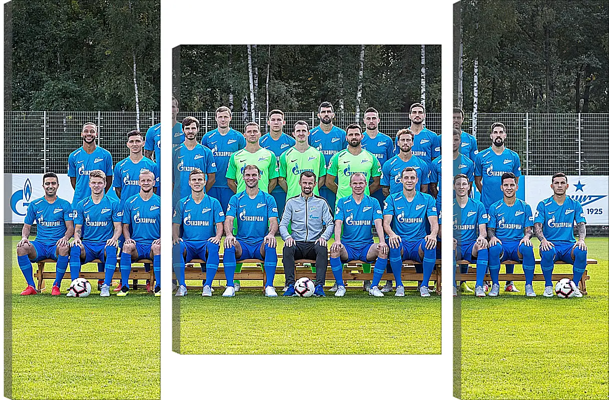 Модульная картина - ФК Зенит Санкт-Петербург. FC Zenit St. Petersburg