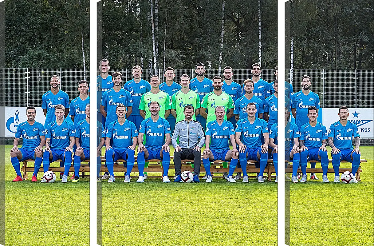 Модульная картина - ФК Зенит Санкт-Петербург. FC Zenit St. Petersburg