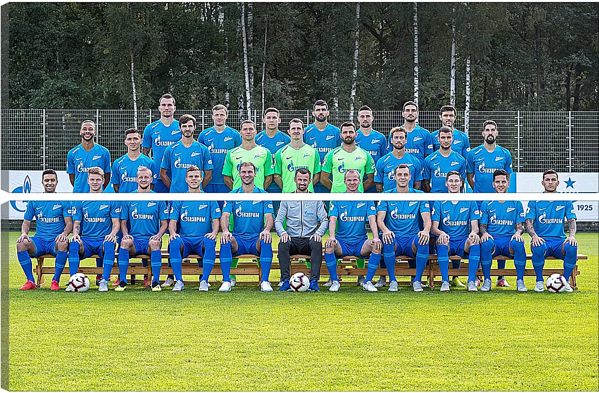 Модульная картина - ФК Зенит Санкт-Петербург. FC Zenit St. Petersburg