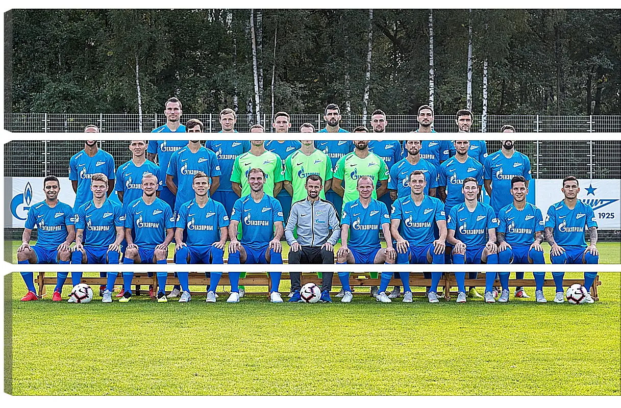 Модульная картина - ФК Зенит Санкт-Петербург. FC Zenit St. Petersburg