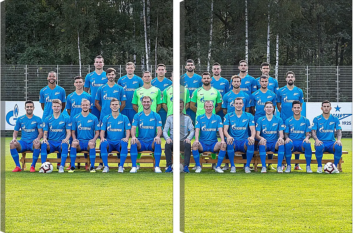 Модульная картина - ФК Зенит Санкт-Петербург. FC Zenit St. Petersburg