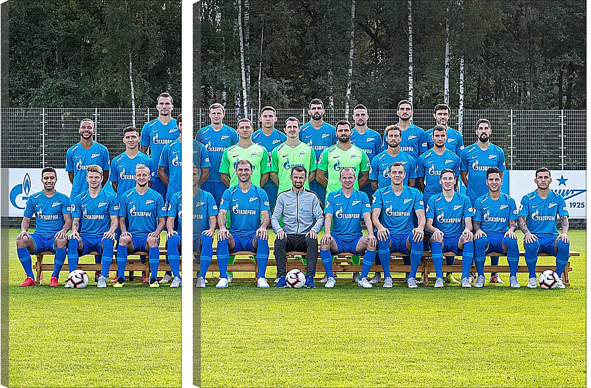 Модульная картина - ФК Зенит Санкт-Петербург. FC Zenit St. Petersburg