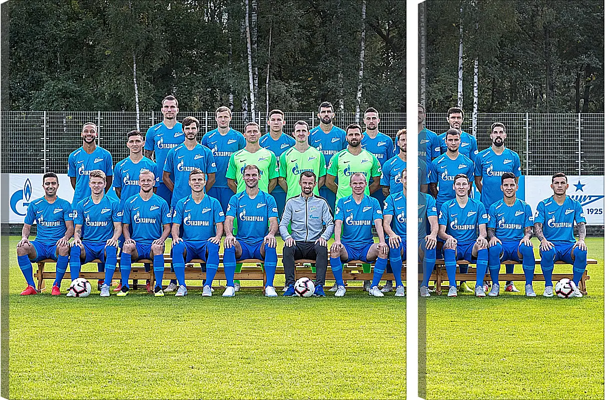 Модульная картина - ФК Зенит Санкт-Петербург. FC Zenit St. Petersburg