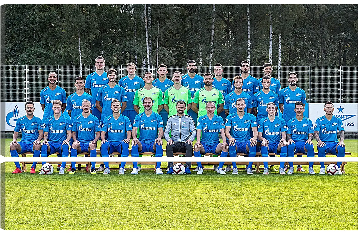 Модульная картина - ФК Зенит Санкт-Петербург. FC Zenit St. Petersburg