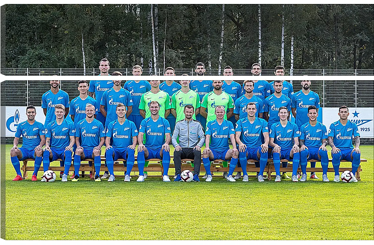 Модульная картина - ФК Зенит Санкт-Петербург. FC Zenit St. Petersburg