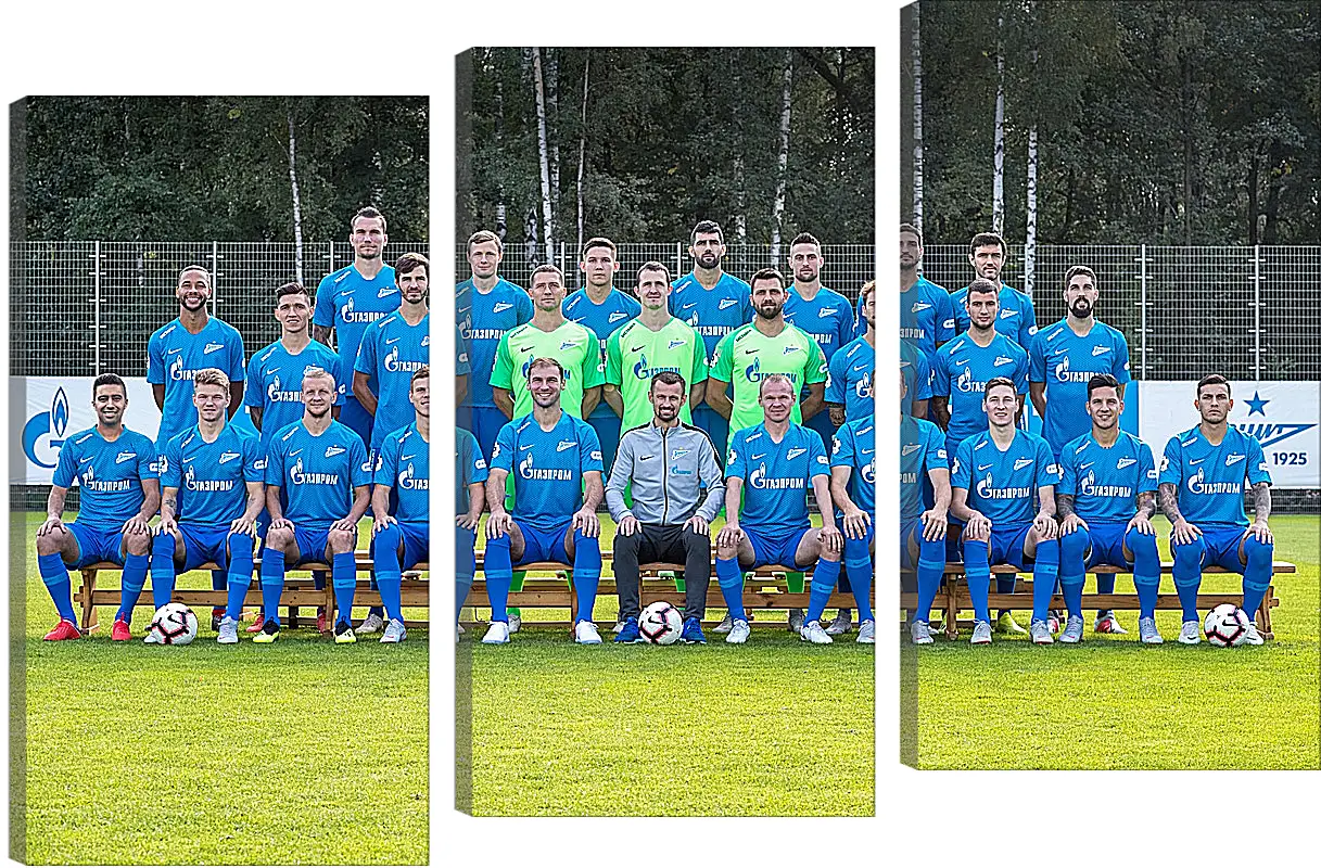 Модульная картина - ФК Зенит Санкт-Петербург. FC Zenit St. Petersburg