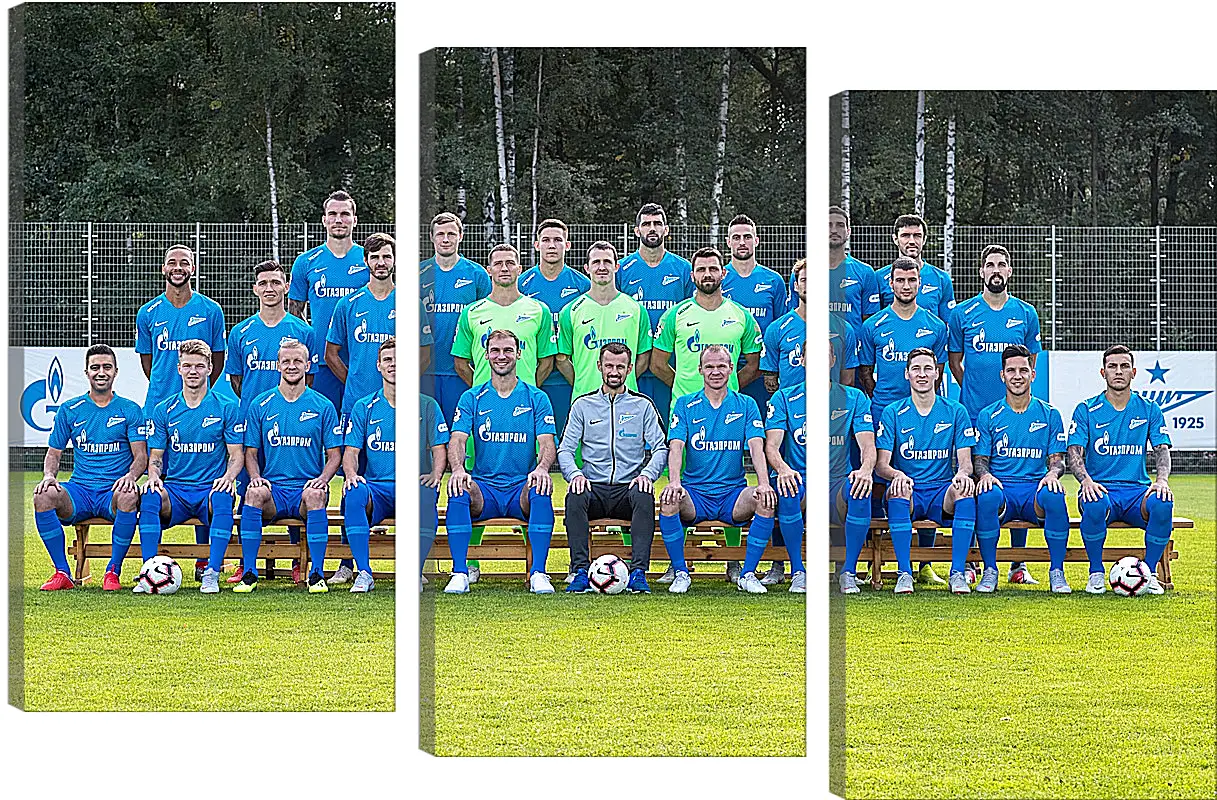 Модульная картина - ФК Зенит Санкт-Петербург. FC Zenit St. Petersburg