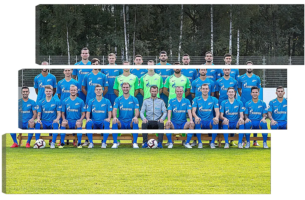 Модульная картина - ФК Зенит Санкт-Петербург. FC Zenit St. Petersburg