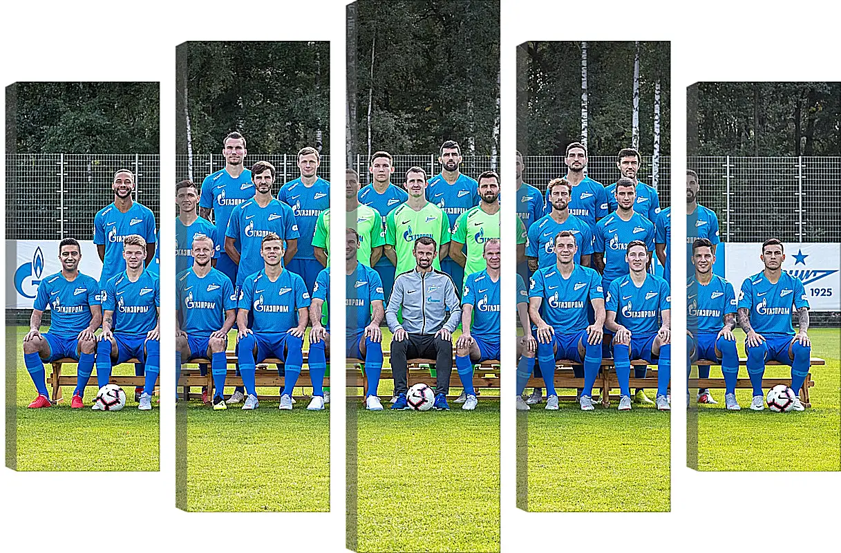 Модульная картина - ФК Зенит Санкт-Петербург. FC Zenit St. Petersburg