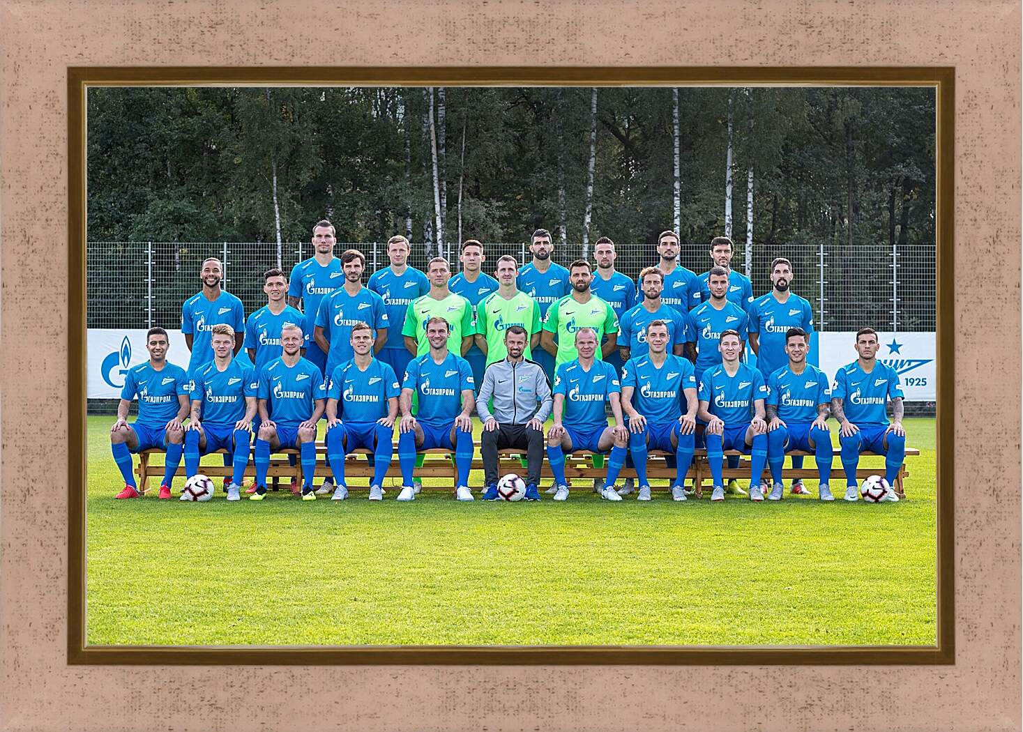 Картина в раме - ФК Зенит Санкт-Петербург. FC Zenit St. Petersburg