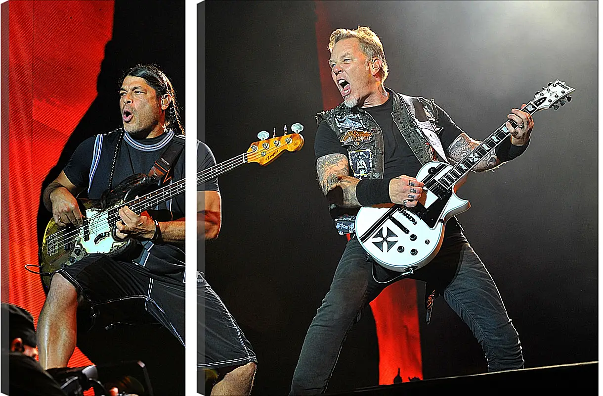 Модульная картина - Металлика. Metallica
