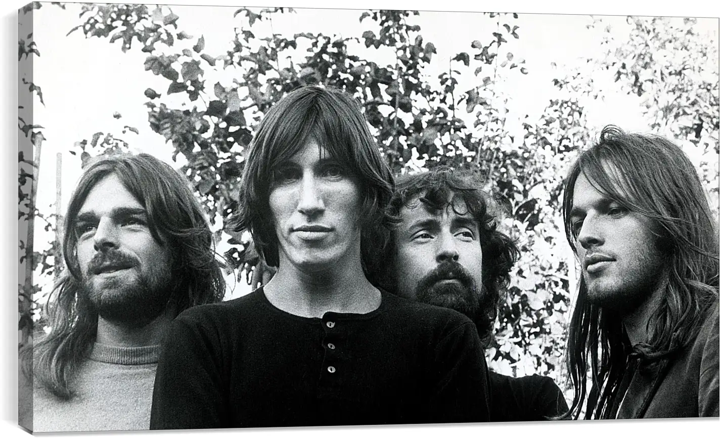 Постер и плакат - Пинк Флойд. Pink Floyd
