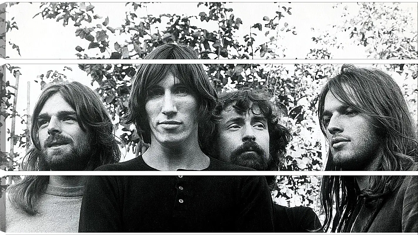 Модульная картина - Пинк Флойд. Pink Floyd