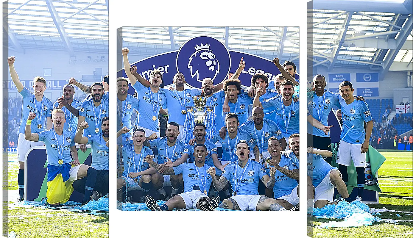 Модульная картина - Победа в АПЛ. ФК Манчестер Сити. FC Manchester City