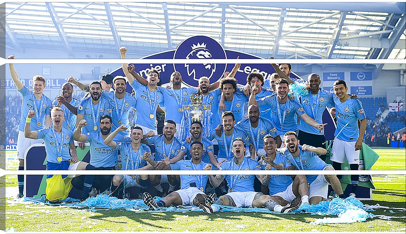 Модульная картина - Победа в АПЛ. ФК Манчестер Сити. FC Manchester City