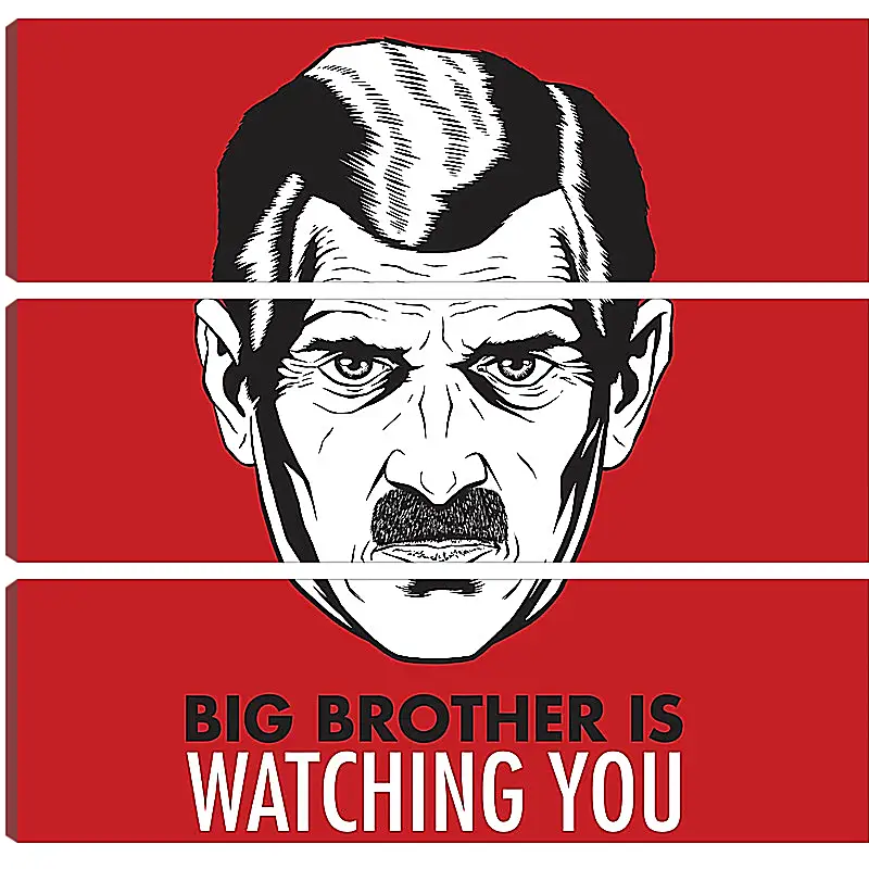 Модульная картина - Большой брат следит за тобой. Big brother is watching you