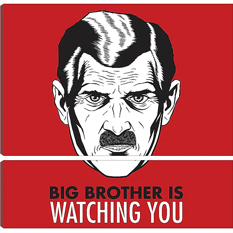 Модульная картина - Большой брат следит за тобой. Big brother is watching you