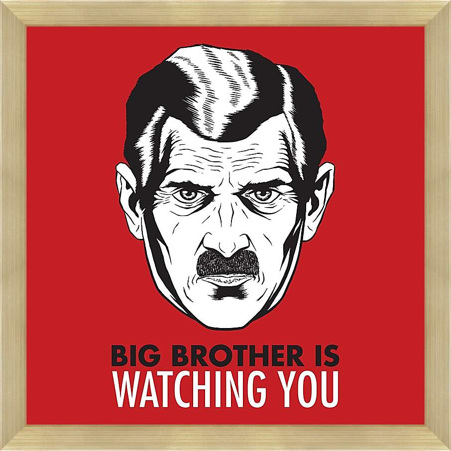 Картина в раме - Большой брат следит за тобой. Big brother is watching you