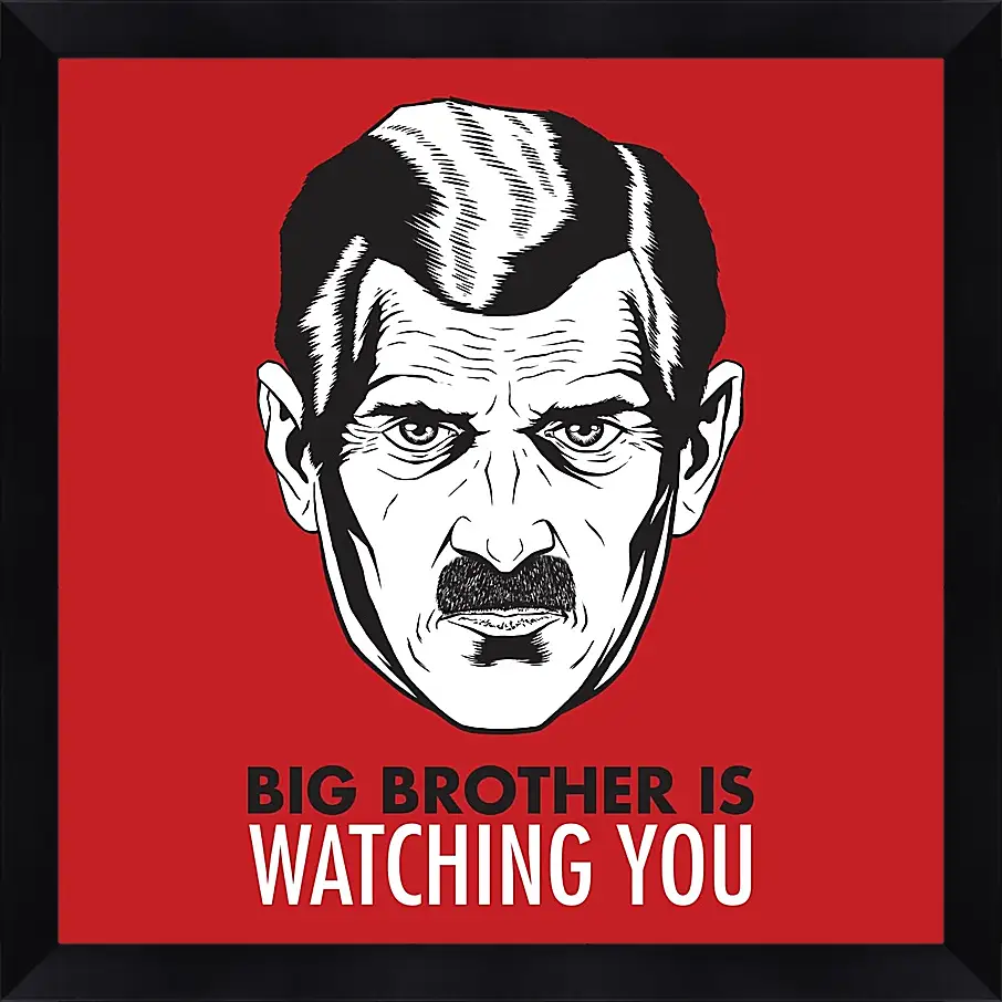 Картина в раме - Большой брат следит за тобой. Big brother is watching you