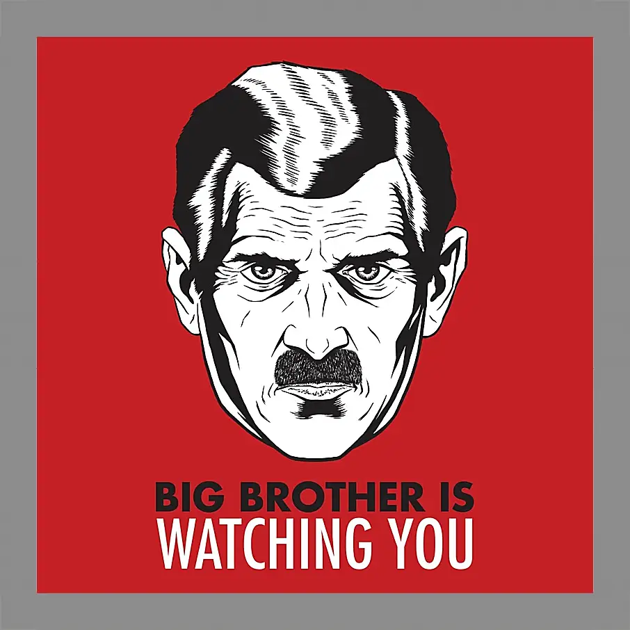 Картина в раме - Большой брат следит за тобой. Big brother is watching you