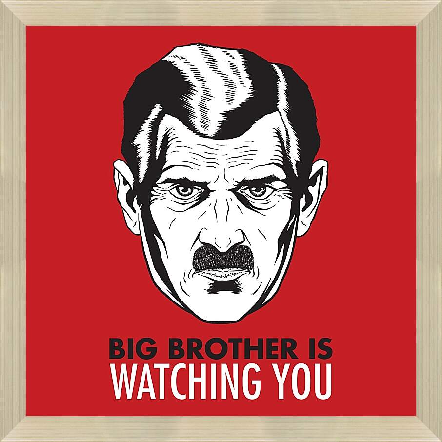 Картина в раме - Большой брат следит за тобой. Big brother is watching you