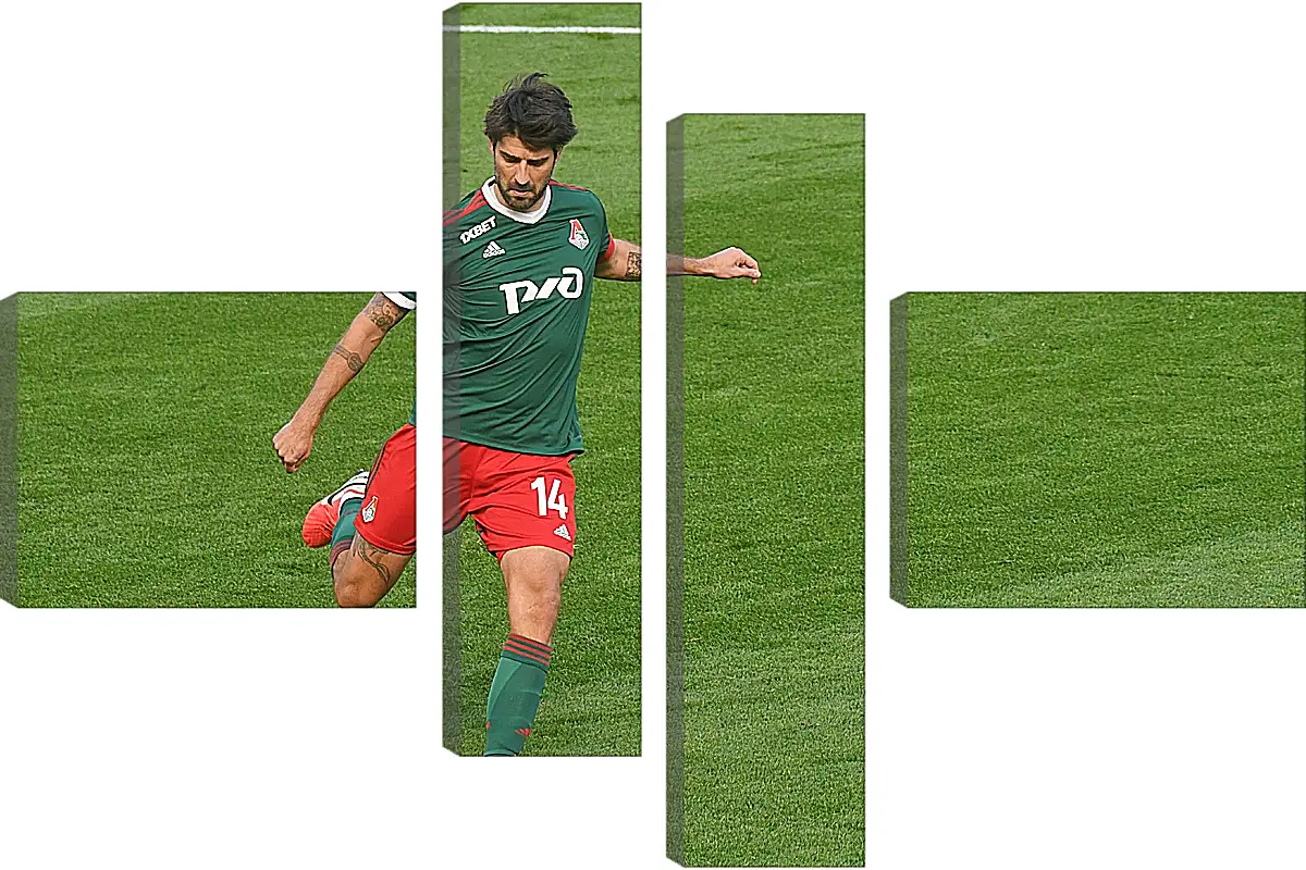 Модульная картина - Ведран Чорлука. ФК Локомотив Москва. FC Lokomotiv Moscow