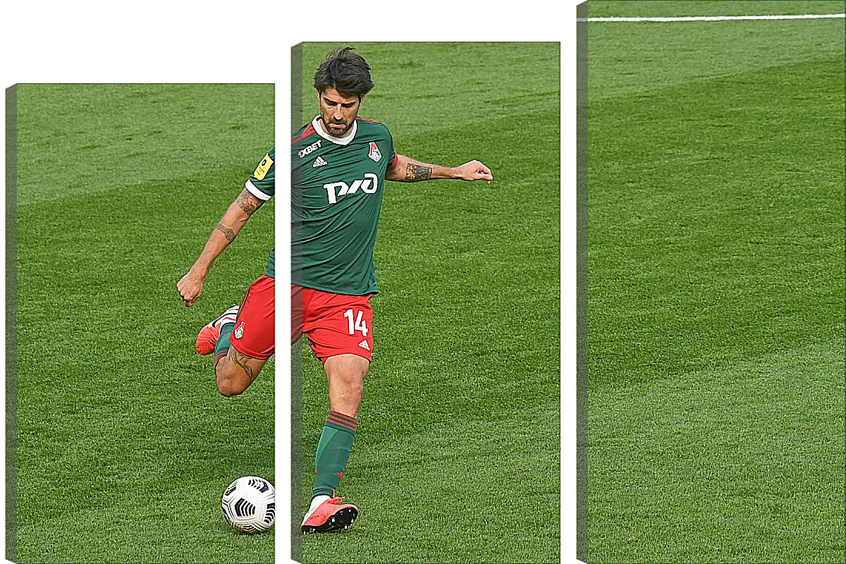 Модульная картина - Ведран Чорлука. ФК Локомотив Москва. FC Lokomotiv Moscow