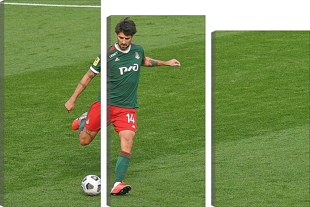 Модульная картина - Ведран Чорлука. ФК Локомотив Москва. FC Lokomotiv Moscow