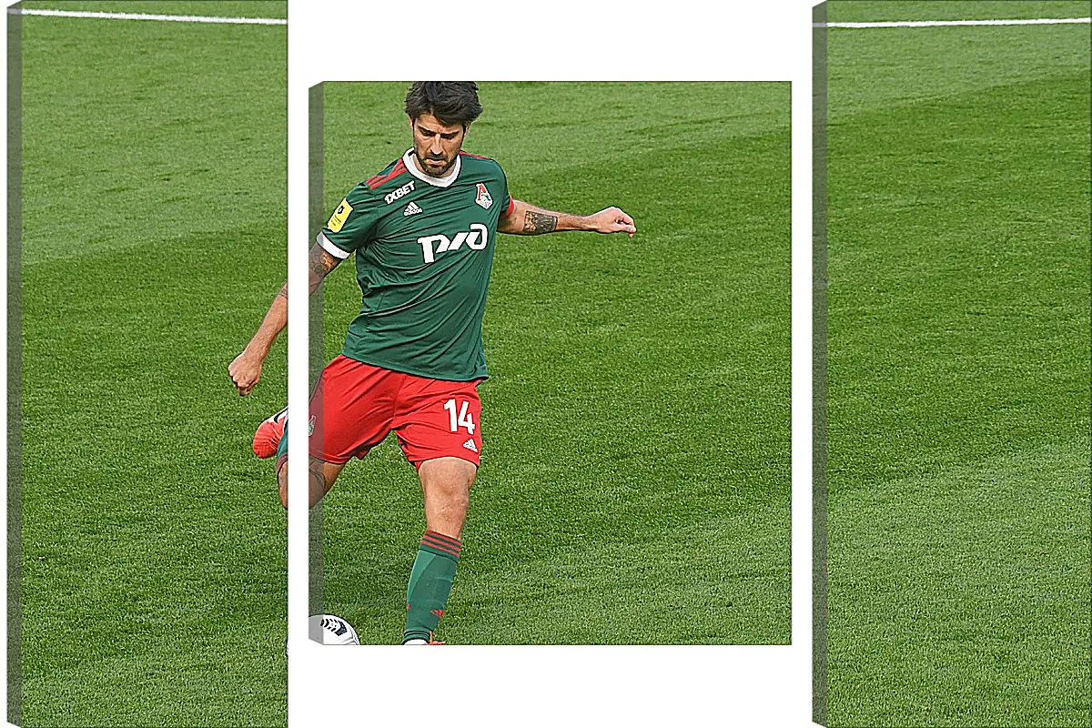 Модульная картина - Ведран Чорлука. ФК Локомотив Москва. FC Lokomotiv Moscow