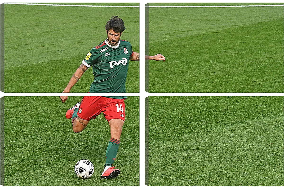 Модульная картина - Ведран Чорлука. ФК Локомотив Москва. FC Lokomotiv Moscow