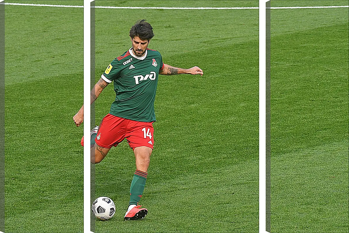 Модульная картина - Ведран Чорлука. ФК Локомотив Москва. FC Lokomotiv Moscow