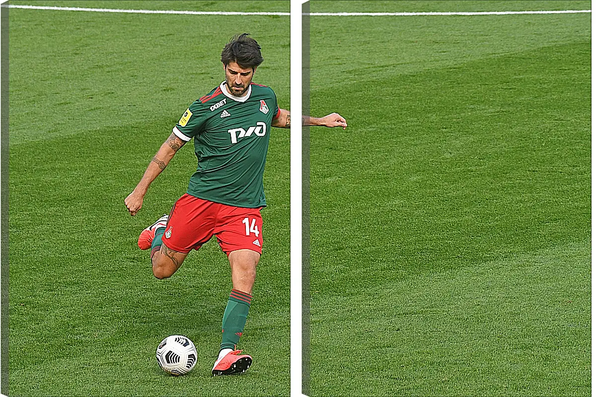 Модульная картина - Ведран Чорлука. ФК Локомотив Москва. FC Lokomotiv Moscow