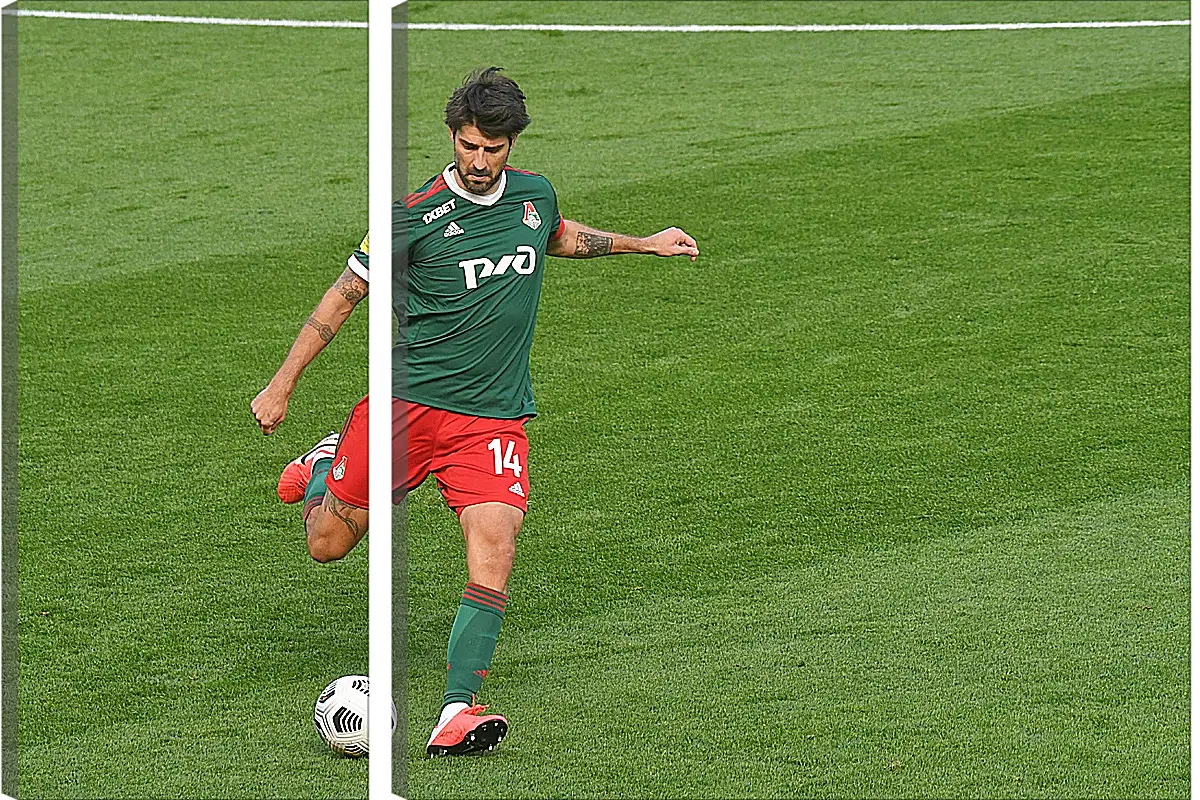 Модульная картина - Ведран Чорлука. ФК Локомотив Москва. FC Lokomotiv Moscow