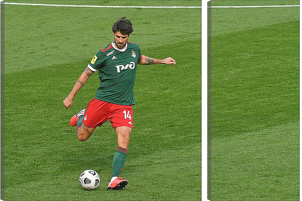 Модульная картина - Ведран Чорлука. ФК Локомотив Москва. FC Lokomotiv Moscow