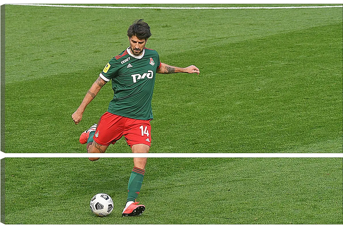 Модульная картина - Ведран Чорлука. ФК Локомотив Москва. FC Lokomotiv Moscow