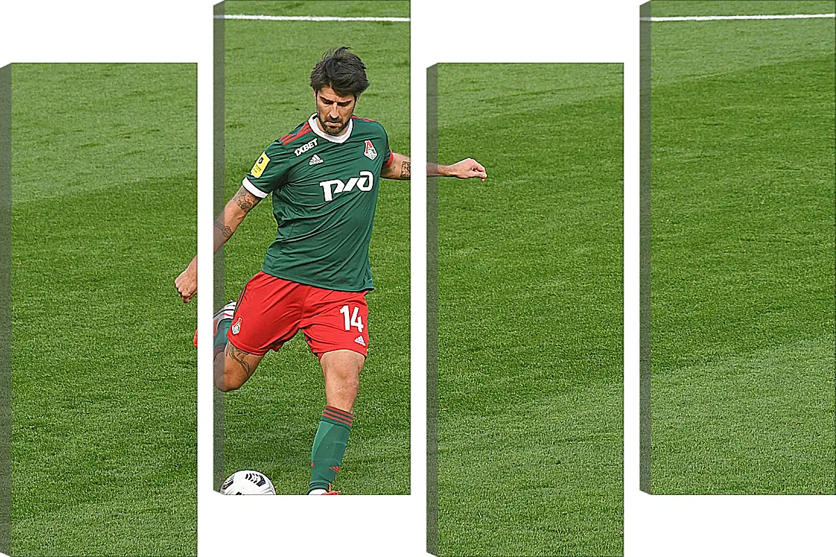 Модульная картина - Ведран Чорлука. ФК Локомотив Москва. FC Lokomotiv Moscow