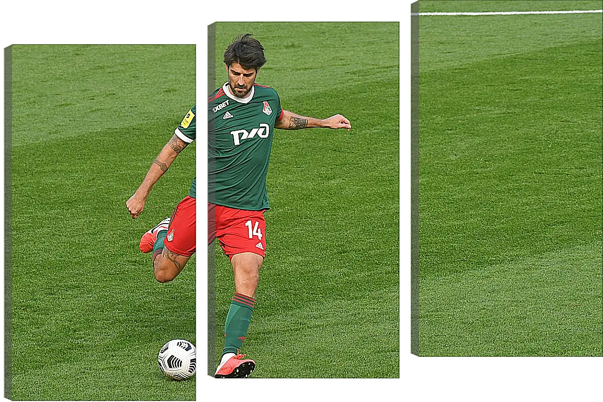 Модульная картина - Ведран Чорлука. ФК Локомотив Москва. FC Lokomotiv Moscow