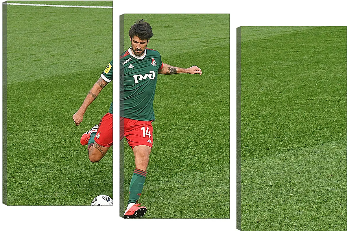 Модульная картина - Ведран Чорлука. ФК Локомотив Москва. FC Lokomotiv Moscow