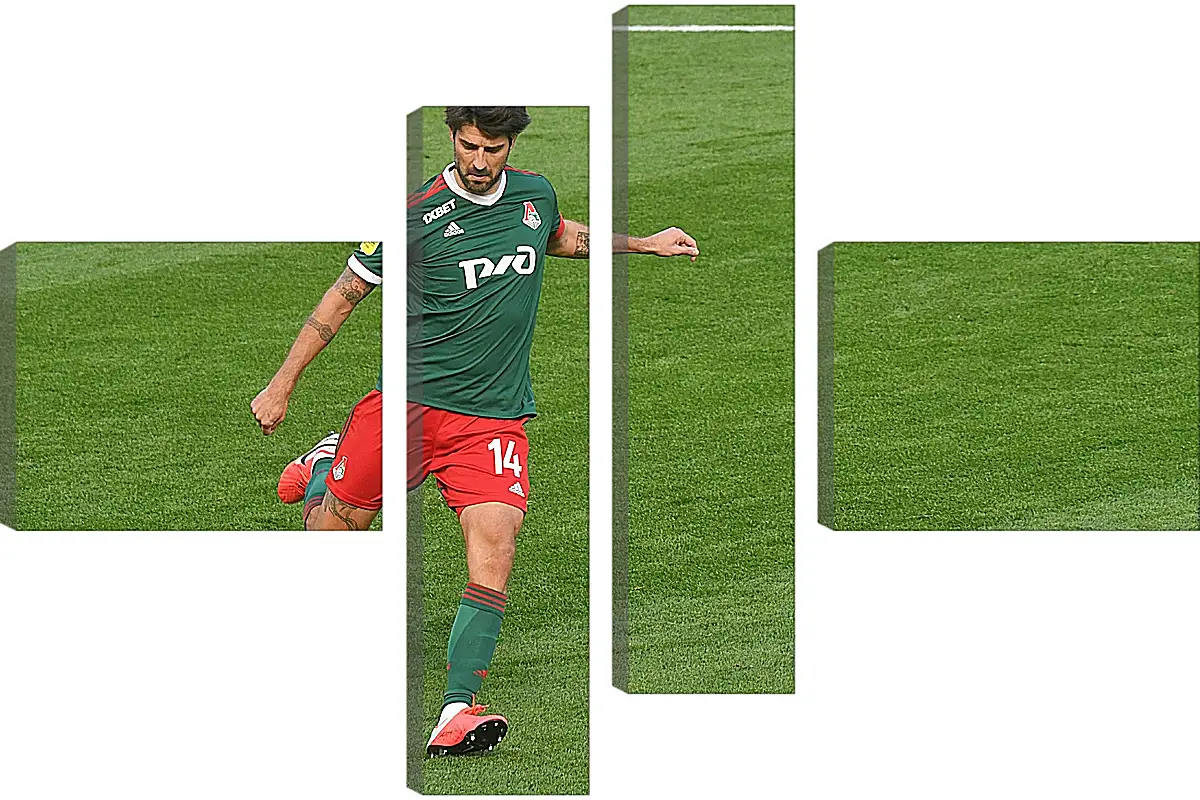 Модульная картина - Ведран Чорлука. ФК Локомотив Москва. FC Lokomotiv Moscow