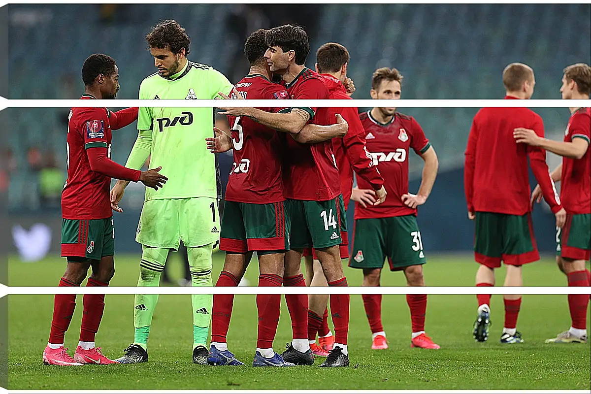 Модульная картина - После матча. ФК Локомотив Москва. FC Lokomotiv Moscow